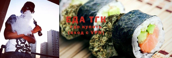 индика Елизово