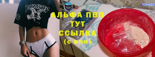 индика Елизово