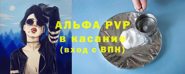 ПСИЛОЦИБИНОВЫЕ ГРИБЫ Елабуга