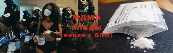 индика Елизово