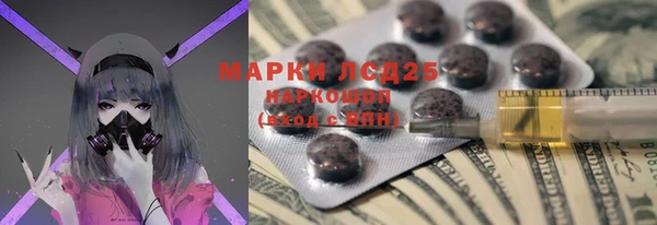 индика Елизово
