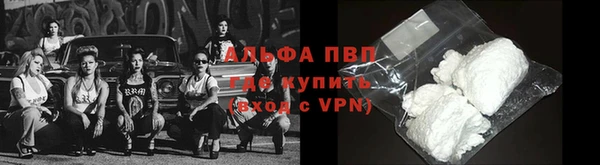 индика Елизово