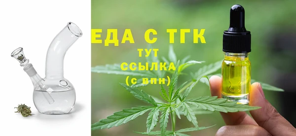 индика Елизово