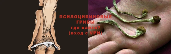 ПСИЛОЦИБИНОВЫЕ ГРИБЫ Елабуга