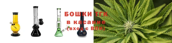 крисы Дмитров