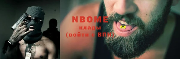 индика Елизово