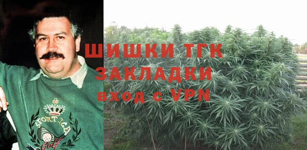 ПСИЛОЦИБИНОВЫЕ ГРИБЫ Елабуга