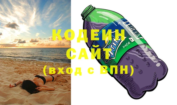 индика Елизово