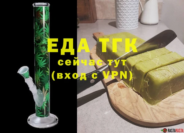 индика Елизово
