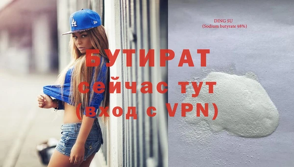 индика Елизово
