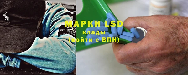 индика Елизово