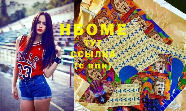 индика Елизово