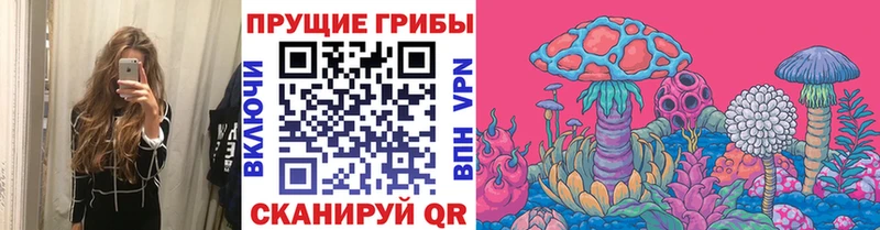 Псилоцибиновые грибы мухоморы  купить наркотики сайты  Венёв 
